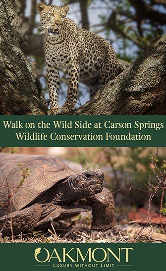 Walk on the Wild Side at Carson Springs Wildlife Conservation ...