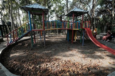 Premium Photo | A playground with a slide and a tree in the background