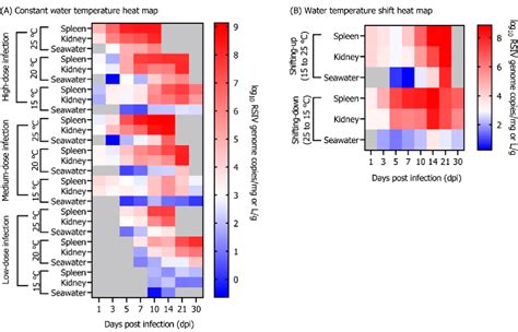 Figure From Red Sea Bream Iridovirus Rsiv Kinetics In Rock Bream