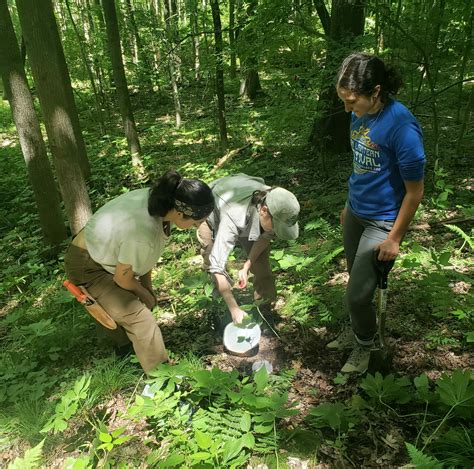 Cleveland Collaboration: Local High Schooler and CWRU PhD Candidate