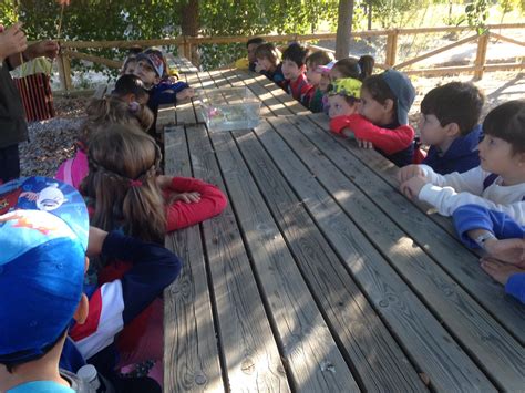 Actividades Medioambientales De Primaria Ceip Nuestra Se Ora Del