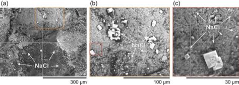 Scanning Electron Microscope Sem Images Showing Salt Crystals Nacl