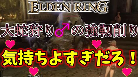 レベル1でも神肌の二人を超簡単にノーダメ撃破する方法紹介【エルデンリング】【神肌のふたり】【eldenring】 Youtube