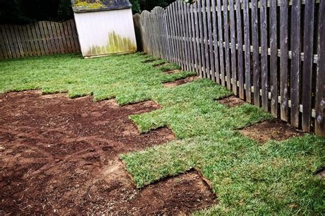 How To Lay Down Sod On Dirt How To Prepare Your Soil And Lay Sod