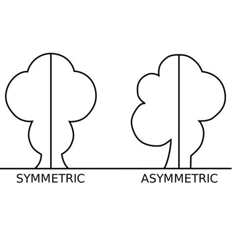 Stream Asymmetric (adj) with two halves, sides, or parts that are not ...