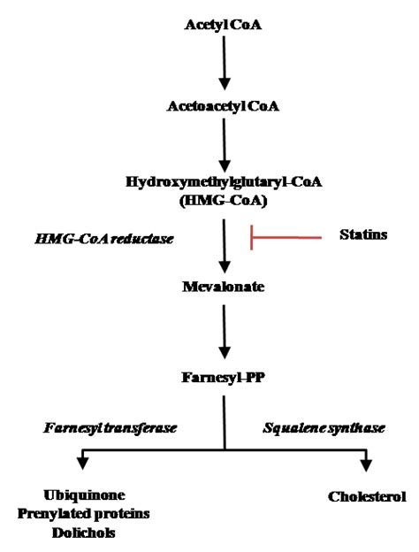 Modulation Of Coenzyme Q10 Content And Oxidative Status In Human Dermal