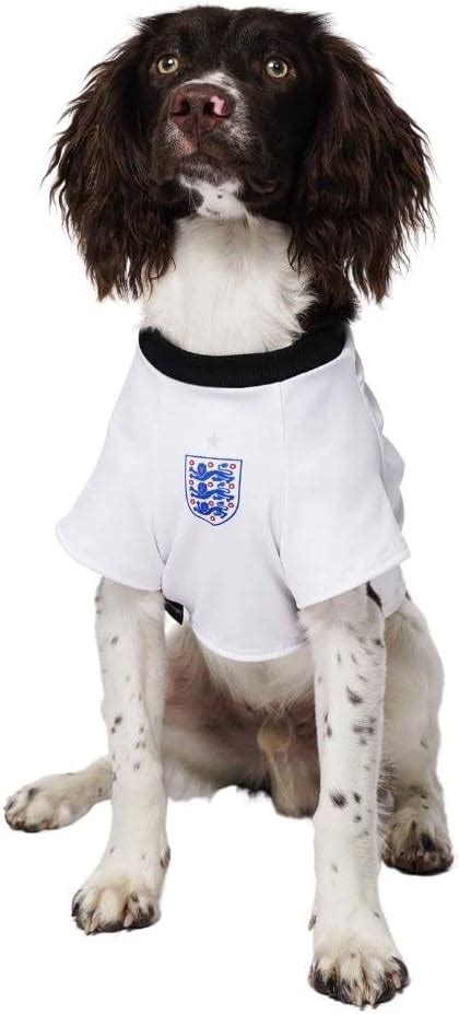 Dogsy Official Personalised England Dog Shirt England Football Shirt