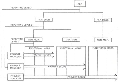 Matrix Organizational Structure Guide With Examples