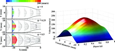 Pulsatile Inlet Flow Velocity The Velocity Vector Fields Left Panel