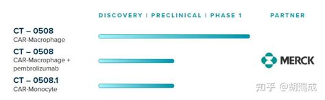 攻克实体瘤再添一员！car M细胞疗法显示实体瘤治疗新希望 知乎