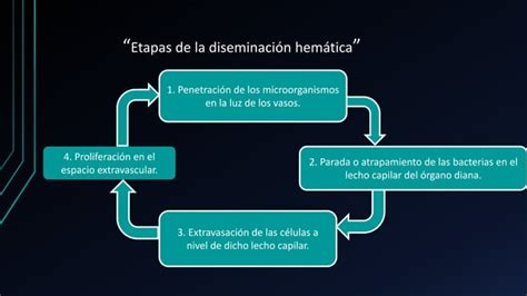 Vias De Diseminacion De Agentes Infecciosos Ppt