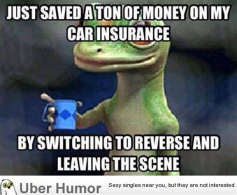 More Accurate Than Any Insurance Commercial I’ve Seen Funny Pictures Quotes Pics Photos