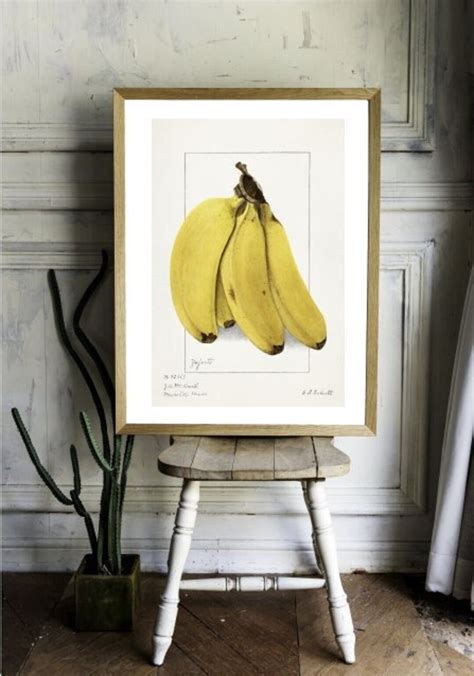 Vintage Banana Wall Art Print Vintage Fruit Illustration Art Ellen