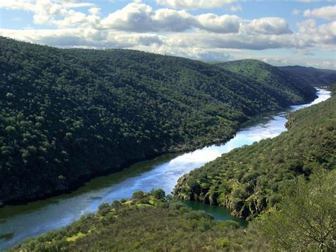 Los Pa Ses Con M S Reservas De La Biosfera Del Mundo Consumer