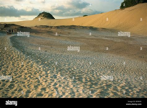 Great Sandy Desert Australia Hi Res Stock Photography And Images Alamy