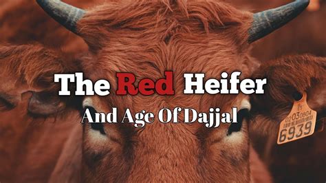 The Sacrifice Of Red Heifer Age Of Dajjal YouTube