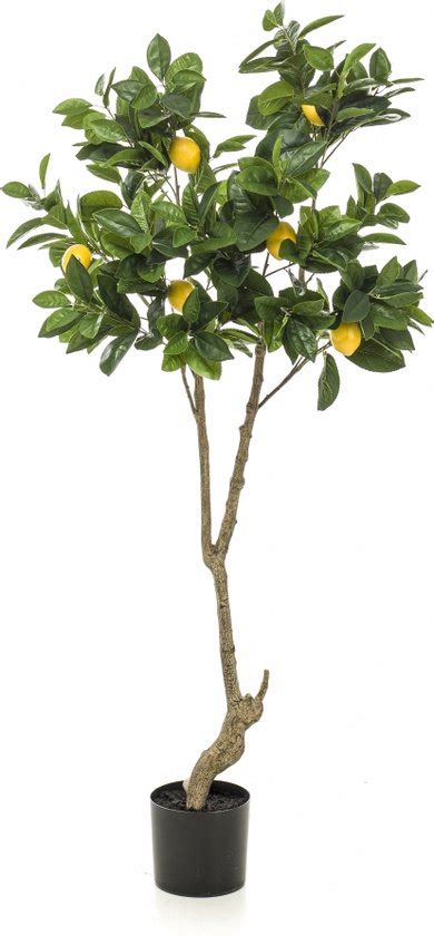 Kunstplant Lemon Polyester Groen 150 Cm Hoog Bol