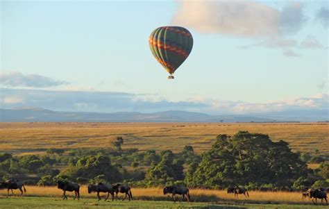 Hot Air Balloon Safari Masai Mara From 450 Cost Price PP