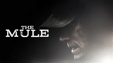 The Mule - Movie - Where To Watch