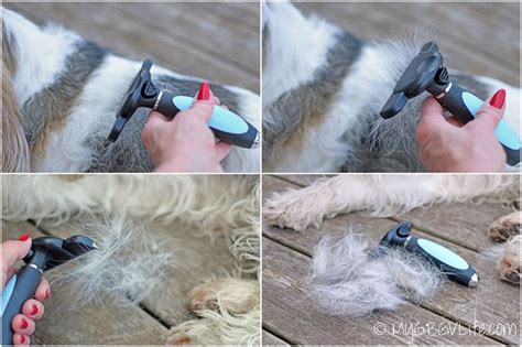 Miu Pet Deshedding Tool For Dogs And Cats My Gbgv Life Deshedding