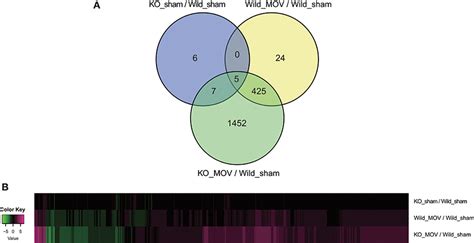 Frontiers Deficiency Of Vgll Gene Alters The Gene Expression