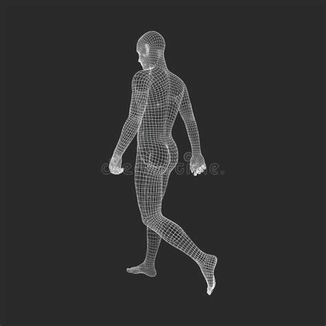 Hombre Que Camina Modelo Del Cuerpo Humano 3D Diseño Geométrico Modelo