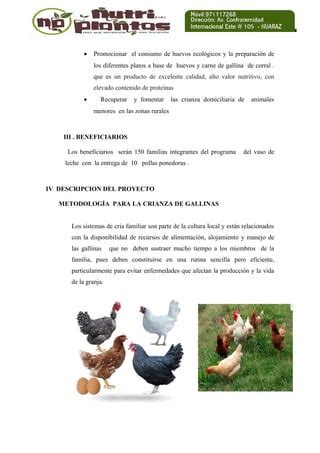 Plan De Trabajo Gallinas Independencia Ok Pdf