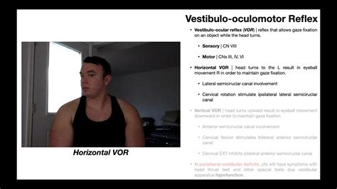 Vestibulo Oculomotor Reflex VOR EXPLAINED YouTube