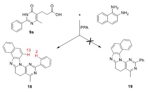 Benzo Imidazo Pyrido D Pyrimidines Past And