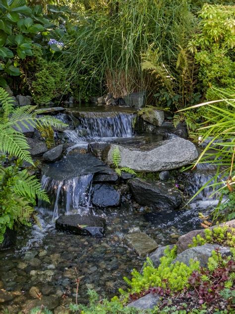 Even Small Streams Can Be Interesting And Refreshing Photo Taken At