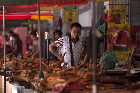 Dog meat eating festival in China draws ire on social media