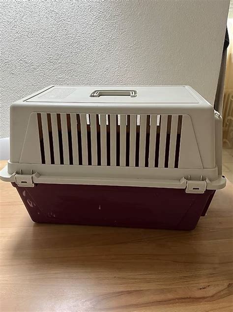 Transport Box F R Katzen Oder Kleine Hunde Im Kanton Basel Stadt Tutti Ch