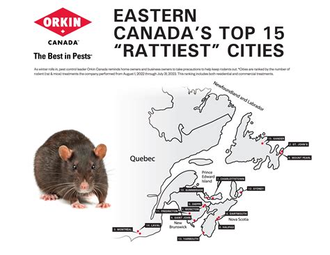 Eastern Canadas Top 15 Rattiest Cities 2023 Orkin Canada Canada