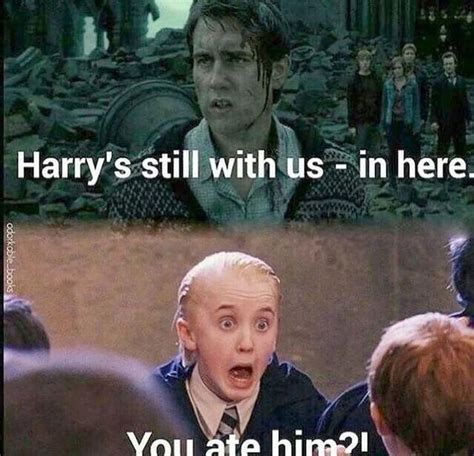 Harry Potter: 10 Hilarious Draco & Harry Memes | ScreenRant | Harry ...