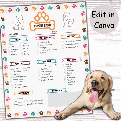 Editable Dog Report Card, Dog Boarding Report Card, Dog Daycare Report