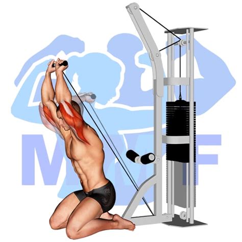 Cable Overhead Triceps Extension: Your Simple Guide To Proper Form