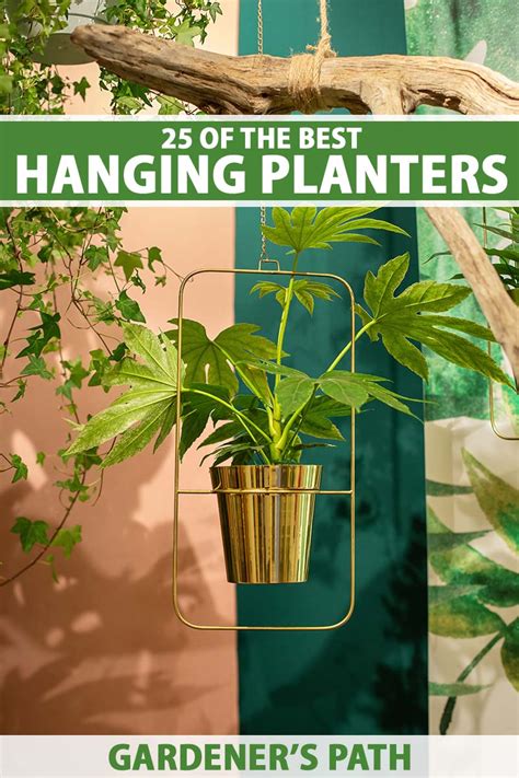 25 Of The Best Hanging Planters Gardeners Path