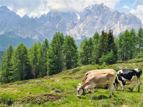 Wandern In Sexten Und Den Dolomiten Wanderurlaub Berghotel