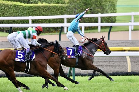 【安田記念】香港の雄！ロマンチックウォリアーが鮮やかに抜け出す 競馬ニュースなら競馬のおはなし