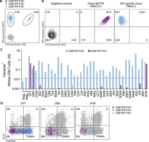 Sars Cov Specific Cd And Cd T Cell Responses Can Originate From