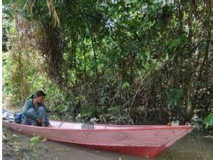 Menilik Sejarah Rotan Indonesia Desa Babai Penghasil Pertanian Dan