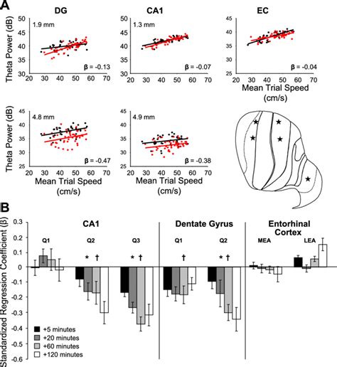 Theta Power Habituates At Temporal Levels A Flatmap Displays 5 Download Scientific Diagram