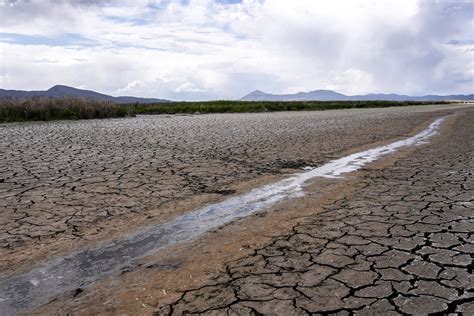 About 6m Californians Ordered To Cut Water Use Amid Drought Ap News