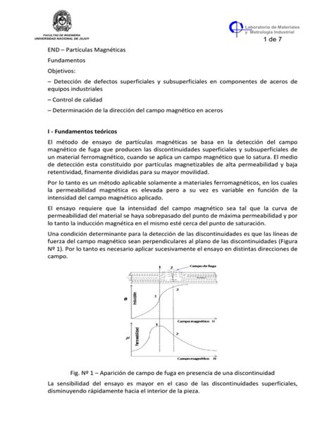 Apunte Partículas Magnéticas