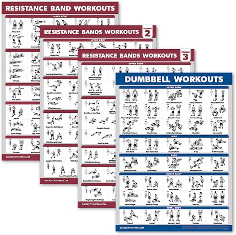 Palace Learning Pack Resistance Bands Workout Posters Volume