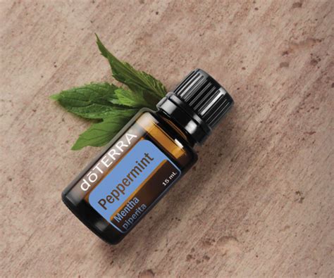 D Terra Peppermint Essential Oil Ml Trish Tucker May