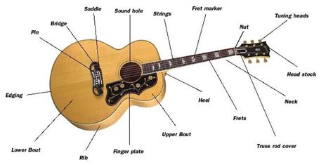 Acoustic Electric Cutaway Guitar Diagram