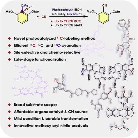 纳米人 Chem由有机光氧化还原催化的富电子芳烃的11C 12C 和13C 氰化