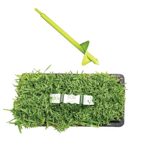 Sod Pods St Augustine Seville Sod Grass Plugs 32 Count SP Power Planter