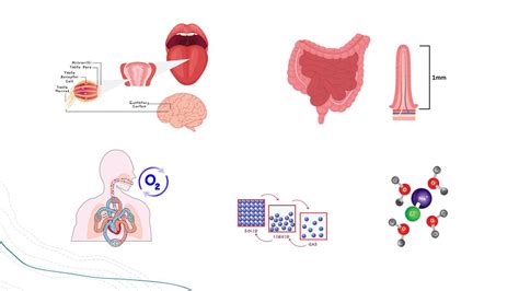 Science Schematic Diagrams on Behance